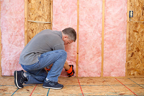 Best Cellulose Insulation in Seven Lakes, NC