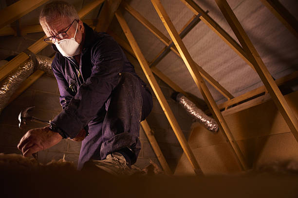 Best Geographic-Specific Insulation Services in Seven Lakes, NC